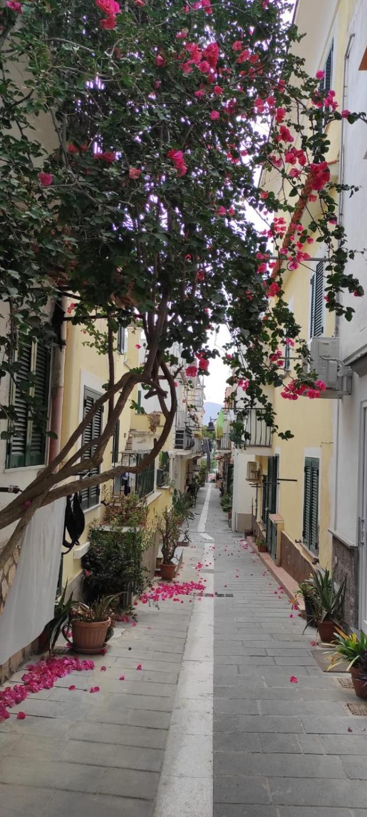 La Casa Rosa Di Giulia Villa Ischia Kültér fotó